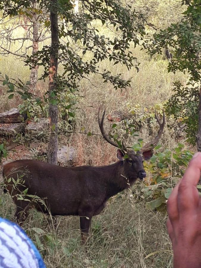 Sadhna Sadan Homestay Panna Madla Kültér fotó
